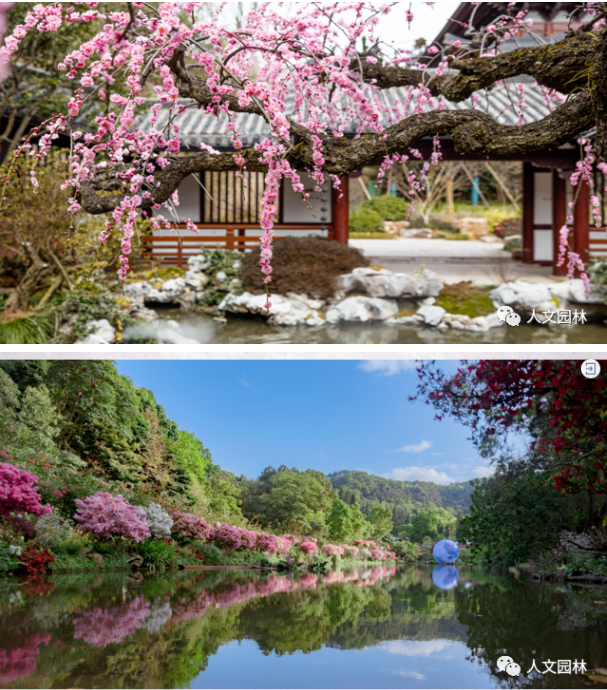 168379200327084286E7.png image.png