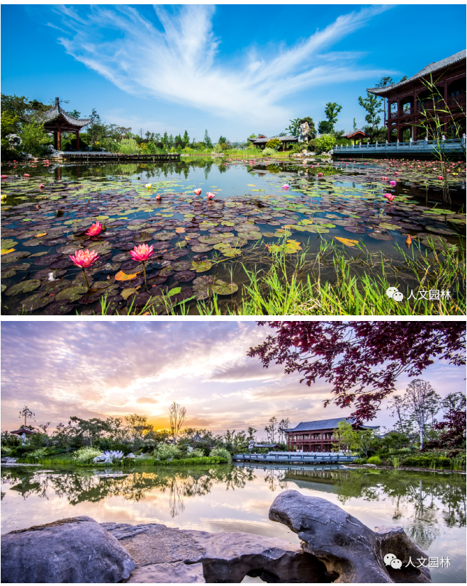 16879311661639086518.png image.png